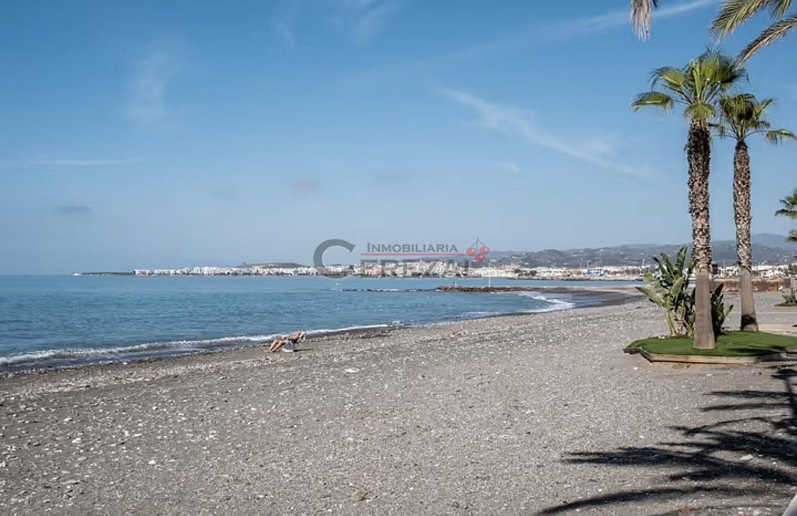 Apartment for Rent in Algarrobo
