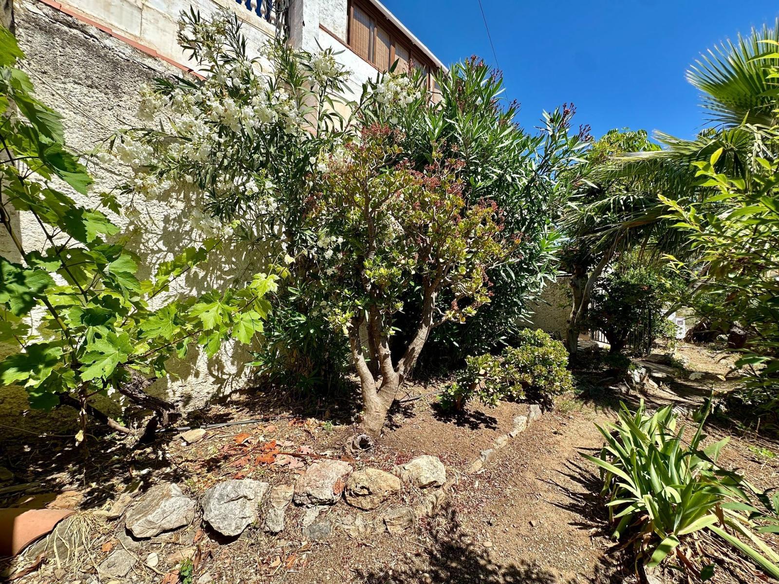 Chalet for Sale in Almuñécar