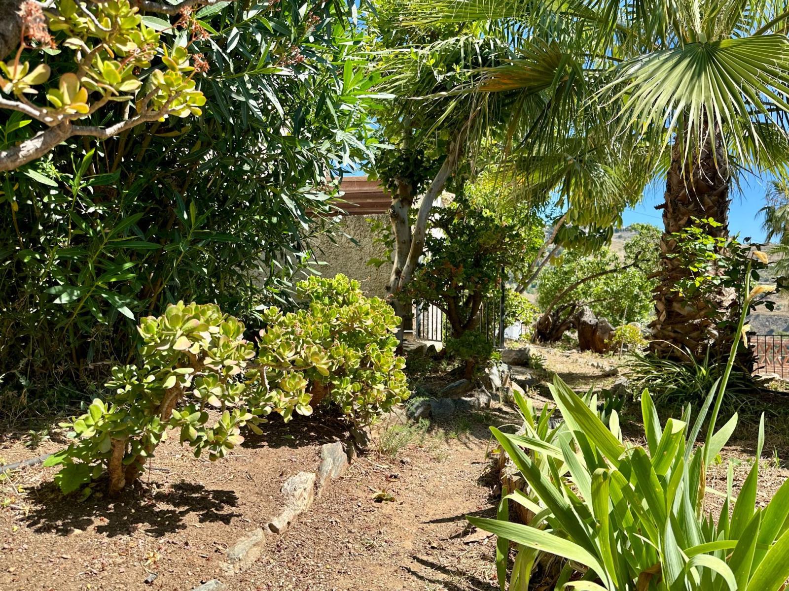 Chalet for Sale in Almuñécar
