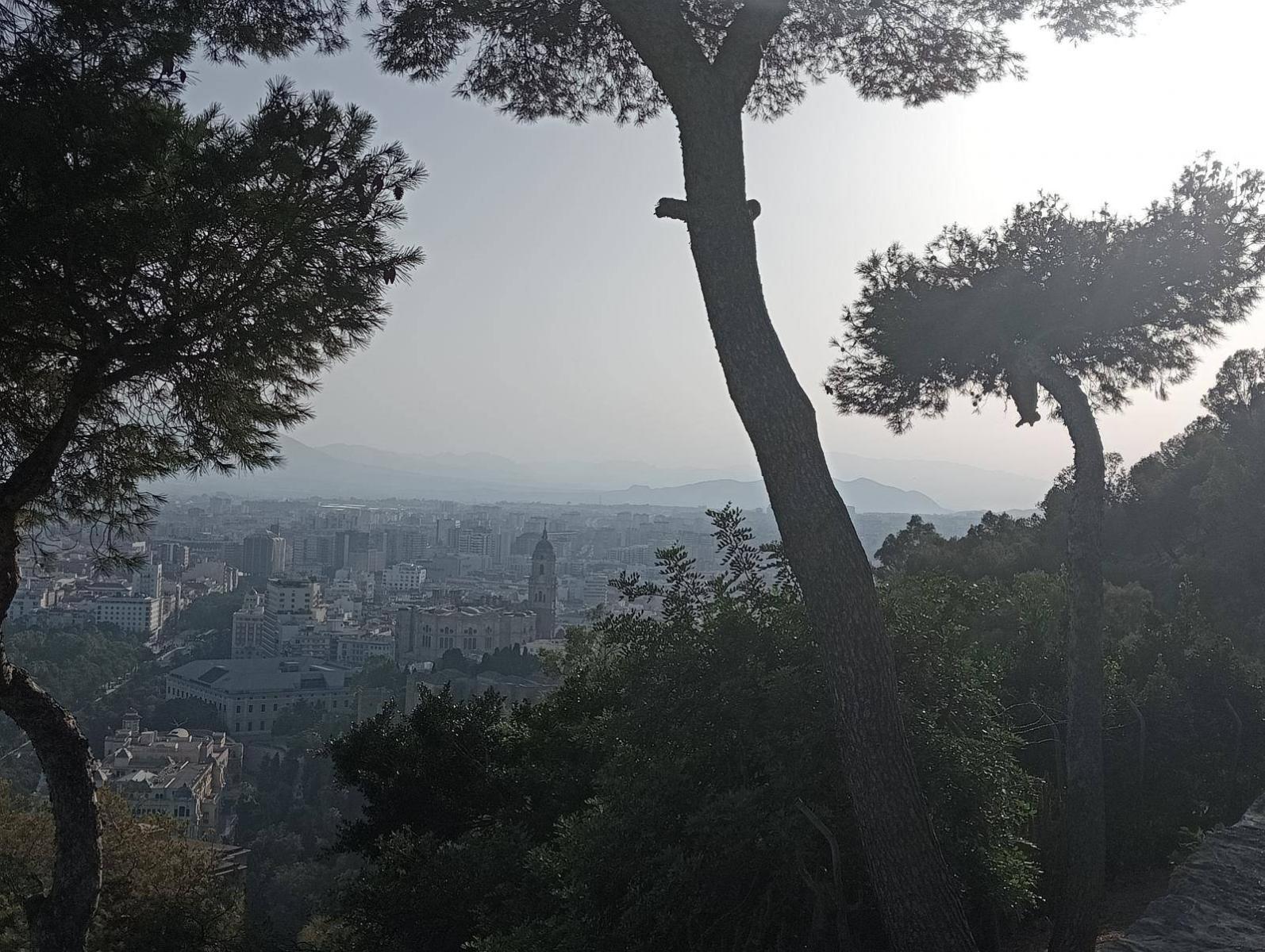 Flat for Sale in Málaga