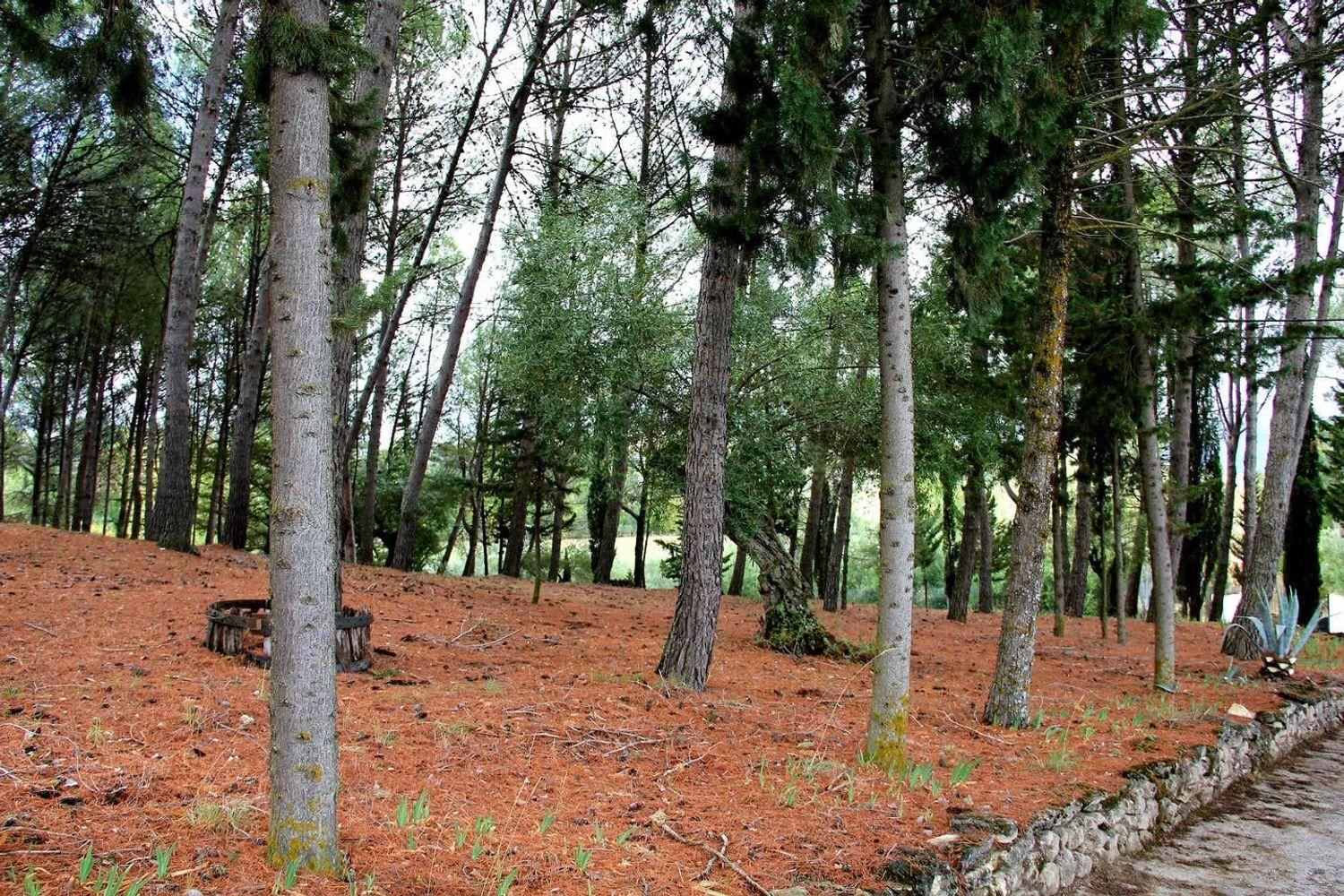 House for Sale in Ronda