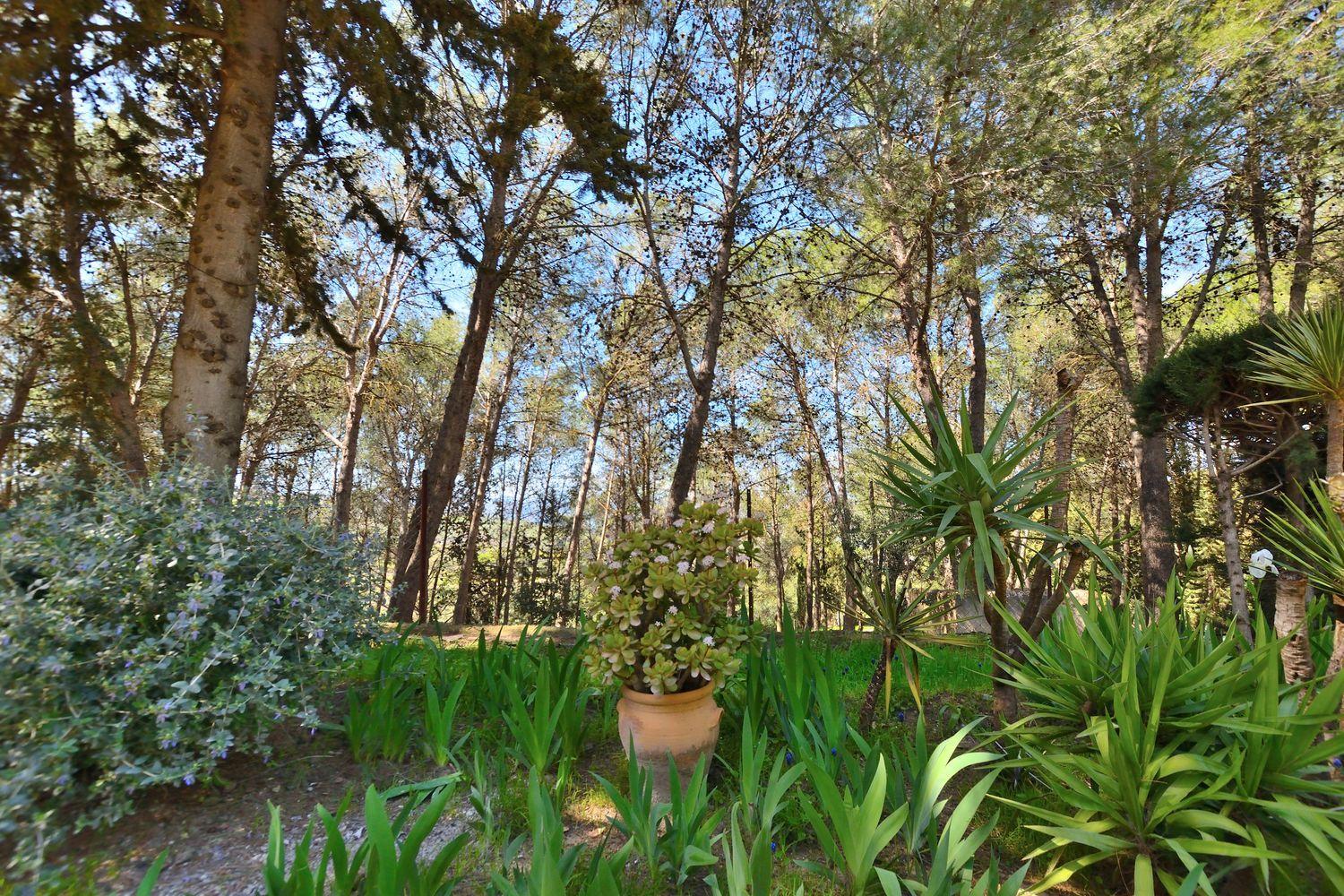 House for Sale in Ronda