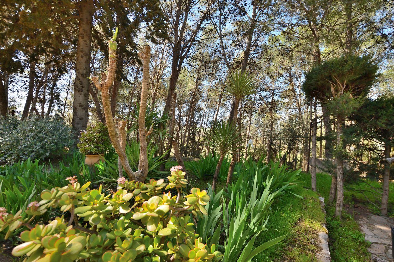 House for Sale in Ronda