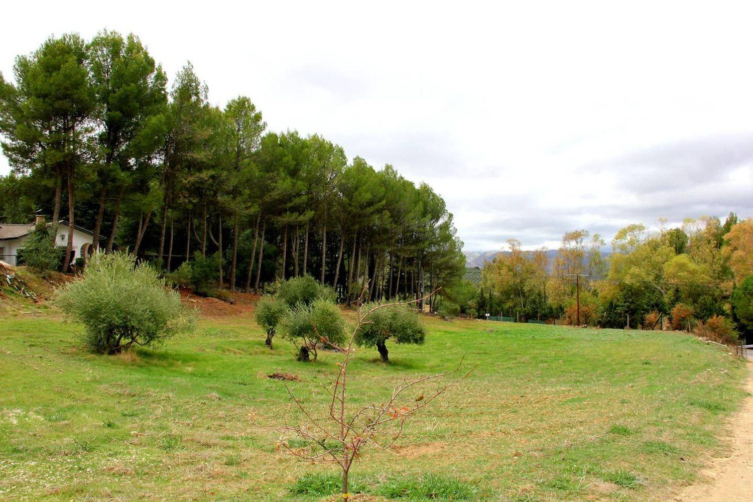 House for Sale in Ronda
