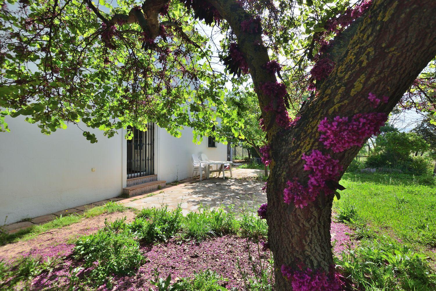 House for Sale in Ronda