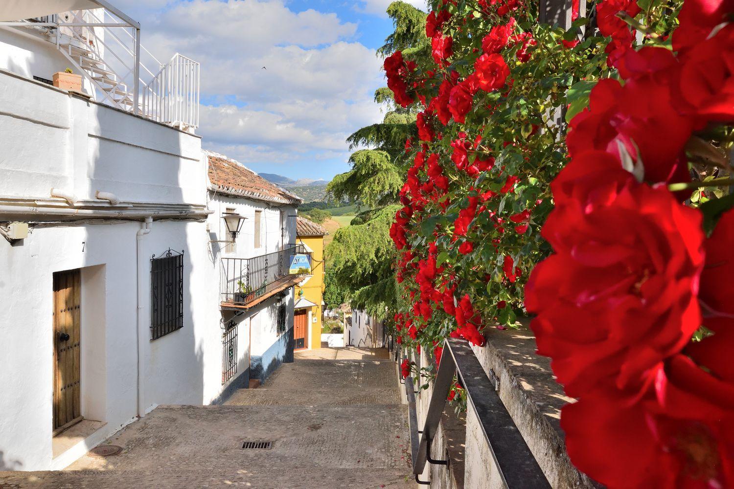 Semi-detached House for Sale in Ronda