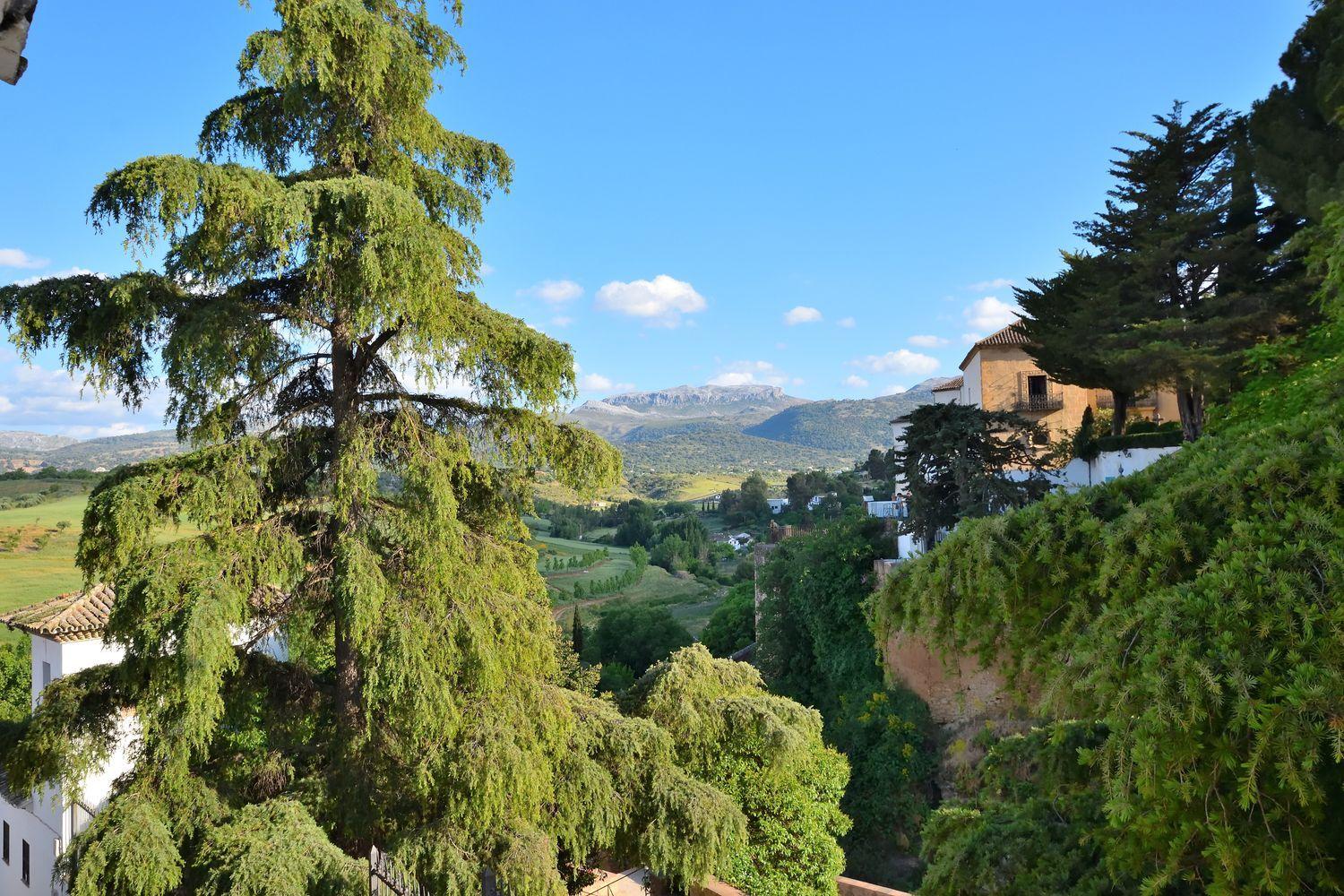 Semi-detached House for Sale in Ronda