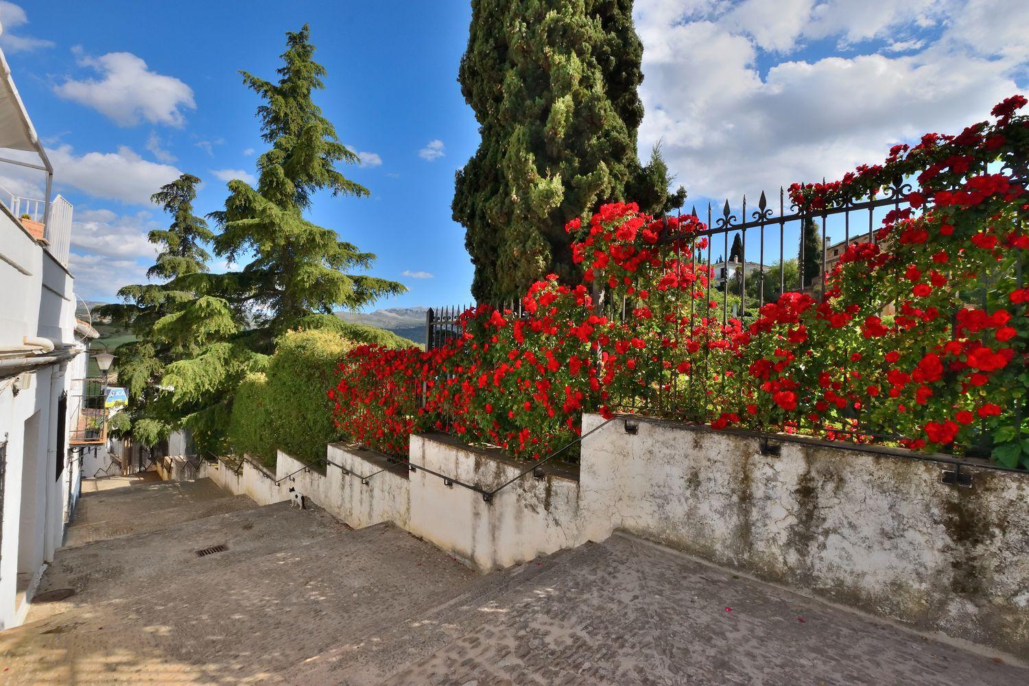 Semi-detached House for Sale in Ronda