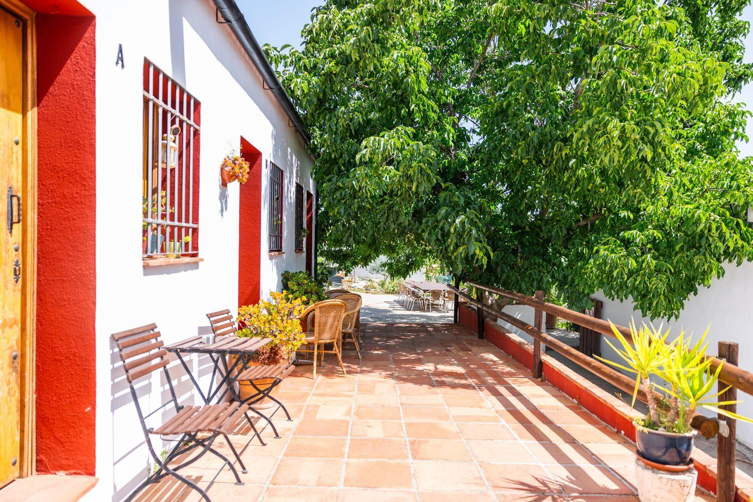 Building for Sale in Montejaque