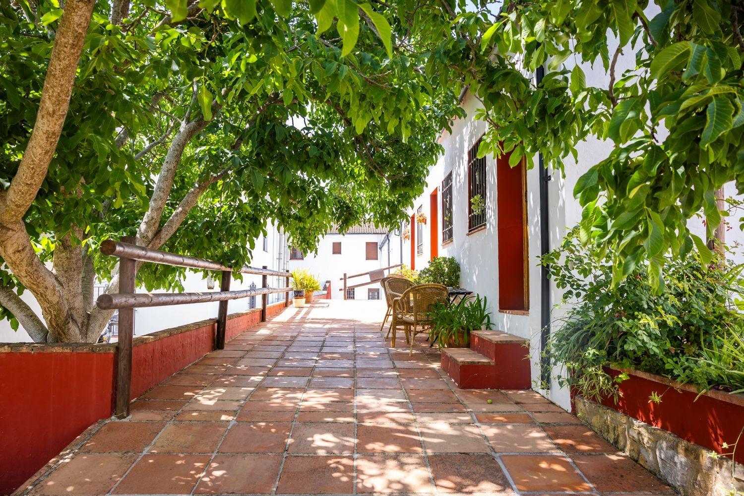 Building for Sale in Montejaque