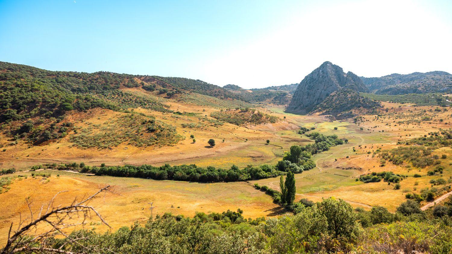 Building for Sale in Montejaque
