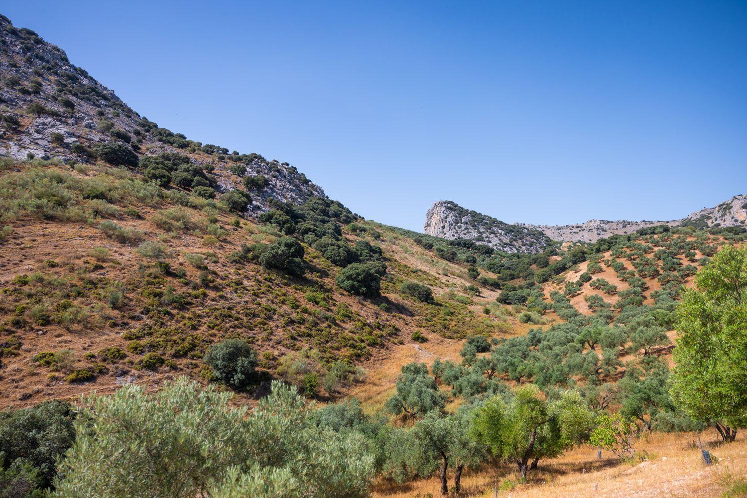 Building for Sale in Montejaque