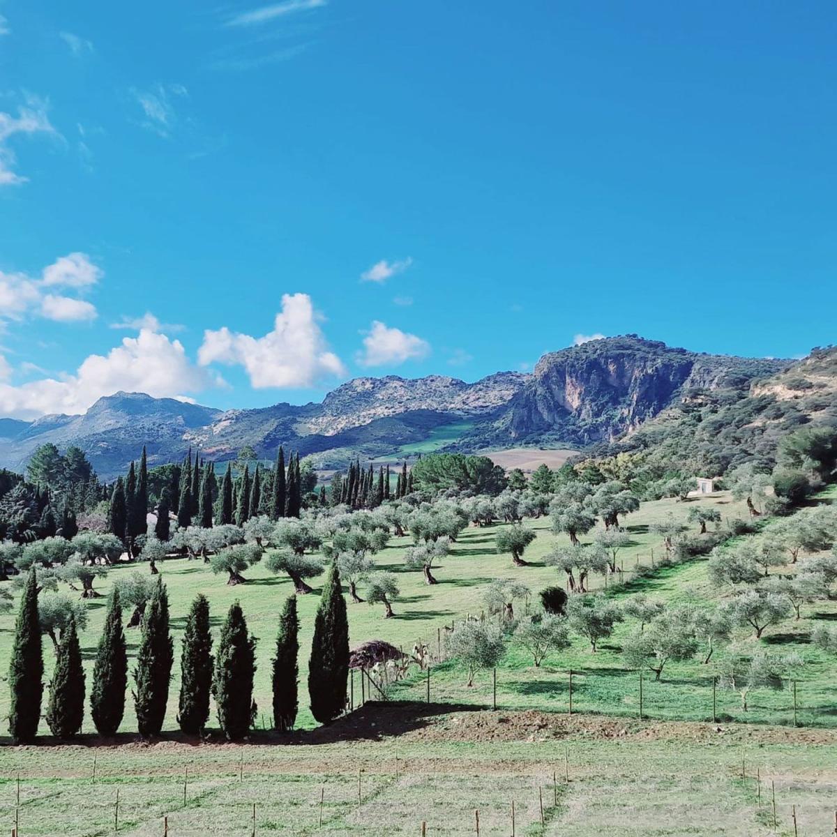 House for Sale in Ronda