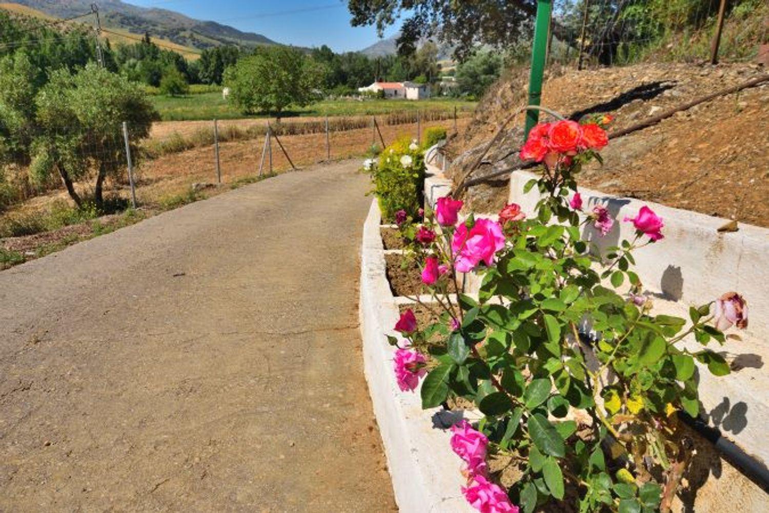 House for Sale in Ronda