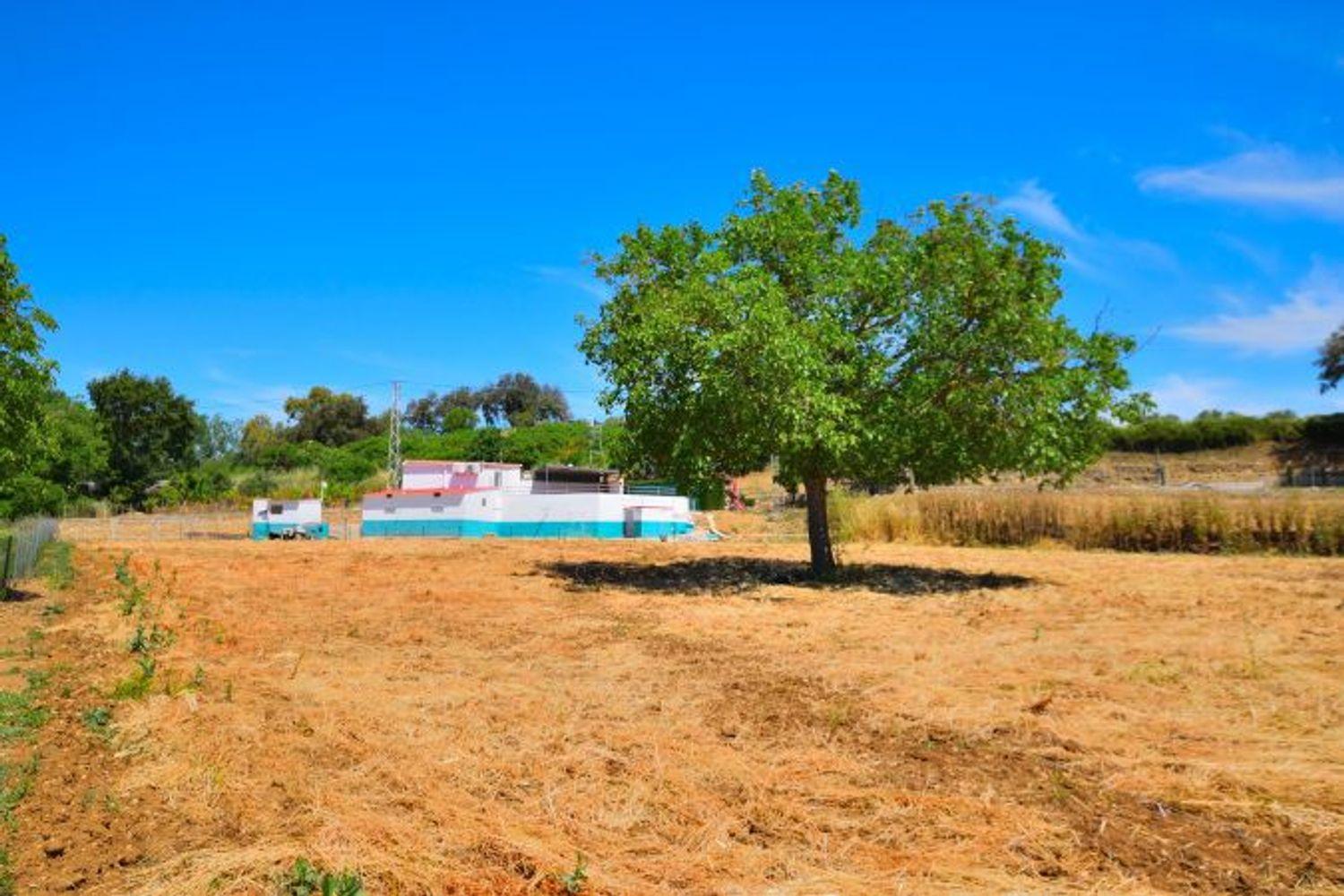 House for Sale in Ronda