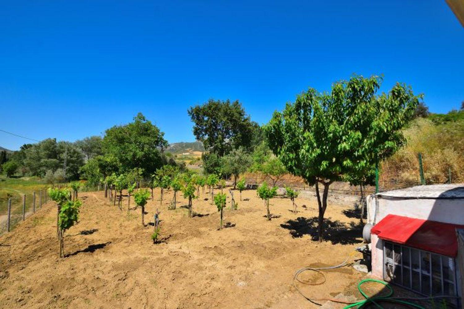 House for Sale in Ronda