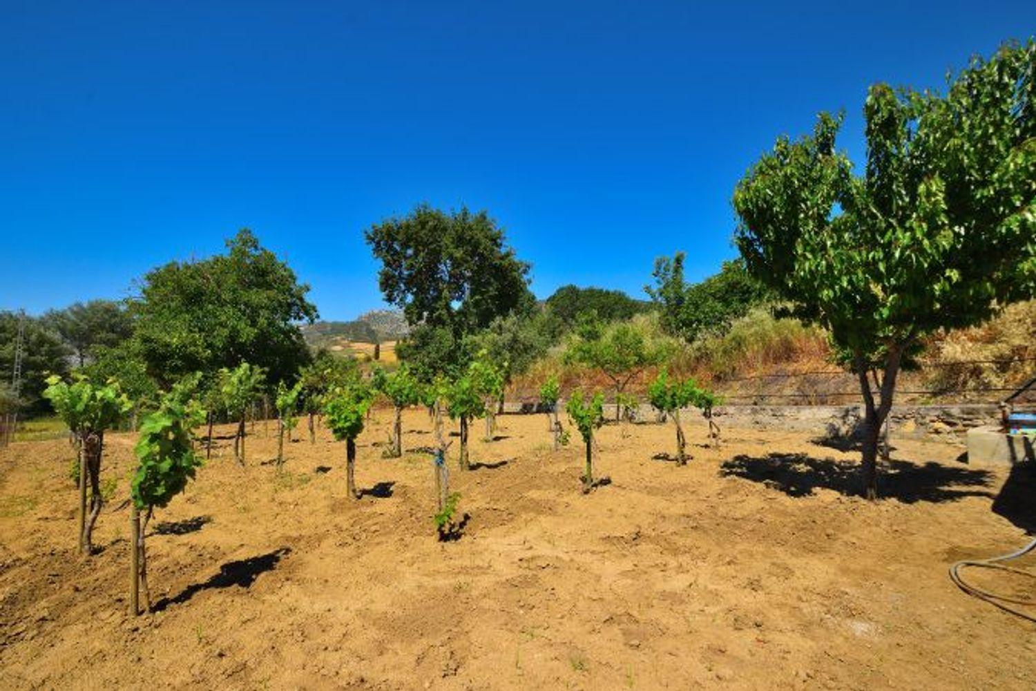 House for Sale in Ronda