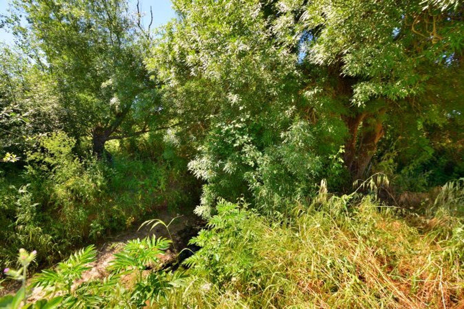 House for Sale in Ronda