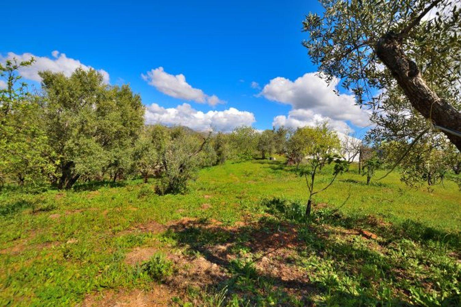 Casa en Venta en Cartajima