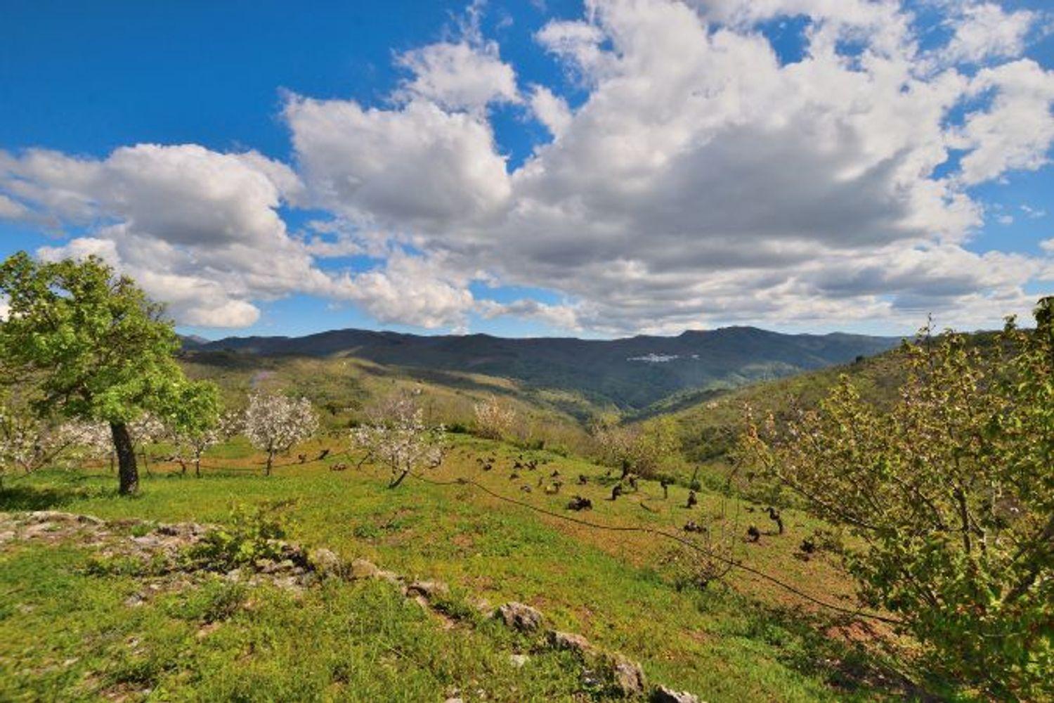 Casa en Venta en Cartajima