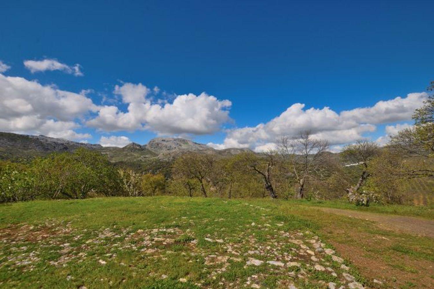 Casa en Venta en Cartajima