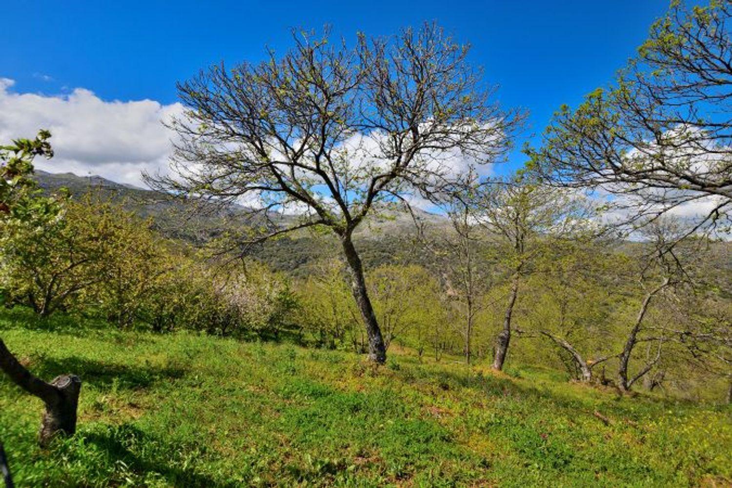 Casa en Venta en Cartajima