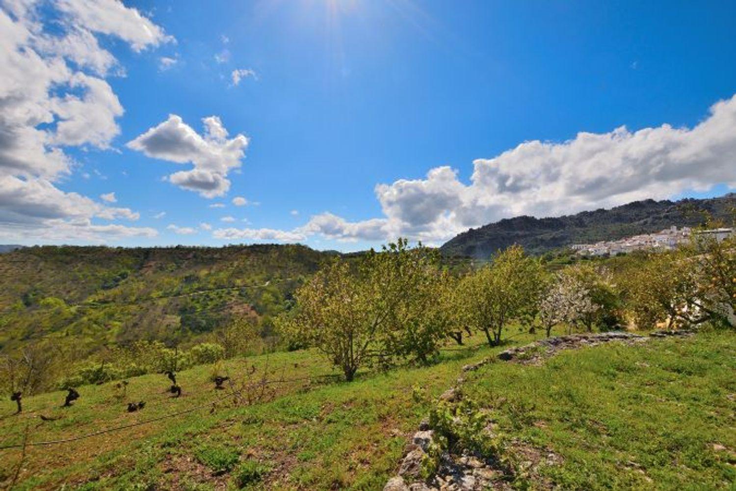 Casa en Venta en Cartajima