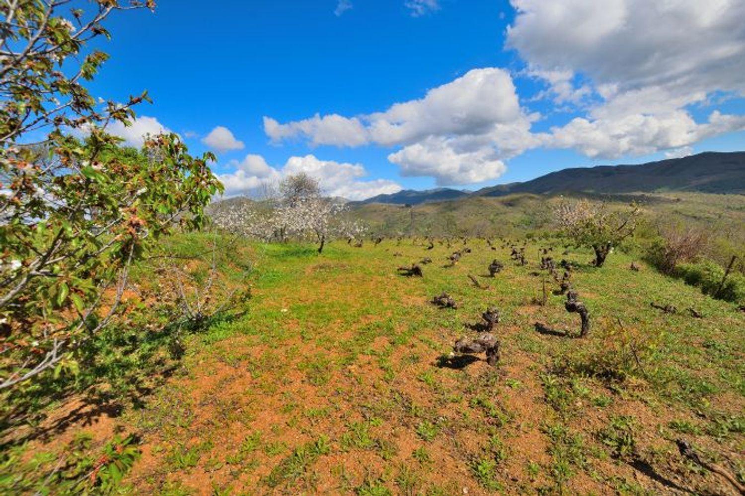 Casa en Venta en Cartajima