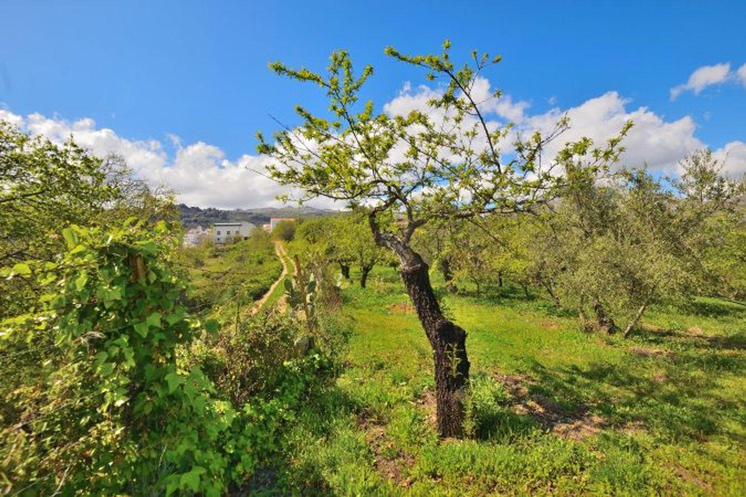 Casa en Venta en Cartajima