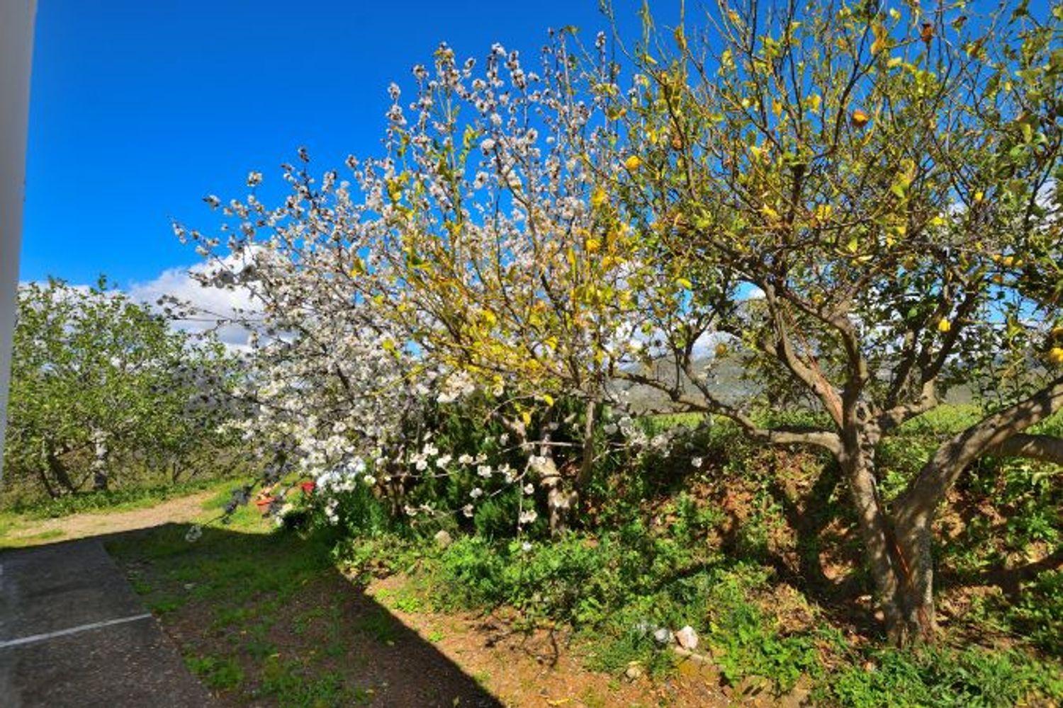 Casa en Venta en Cartajima