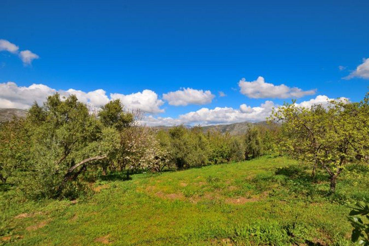 Casa en Venta en Cartajima