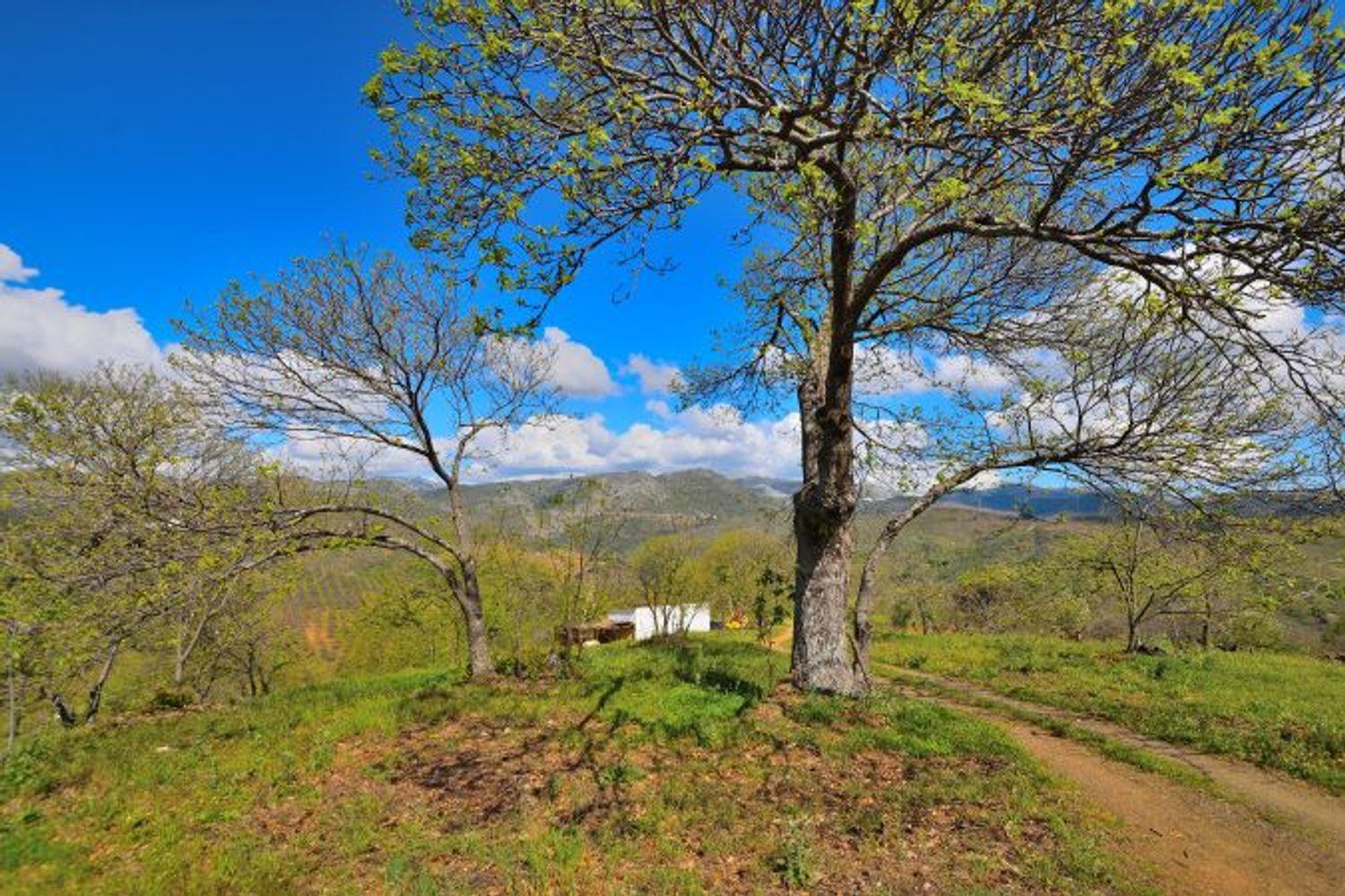 Casa en Venta en Cartajima