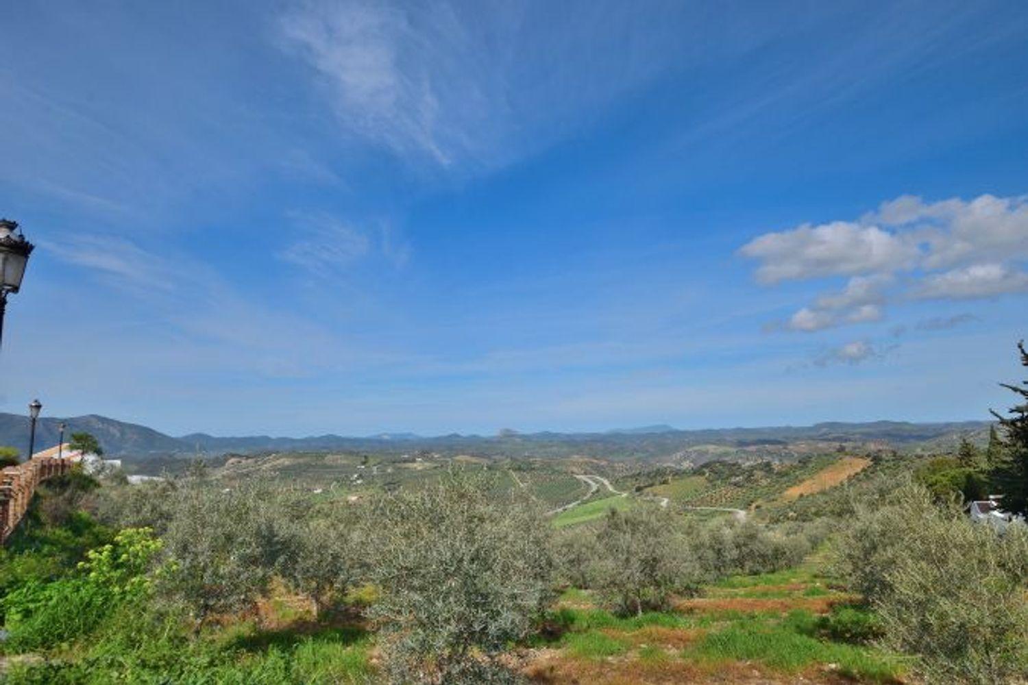 Premise for Sale in Olvera