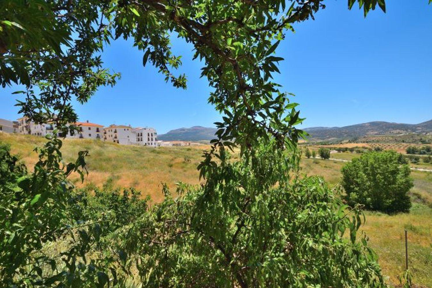 Plot for Sale in Ronda