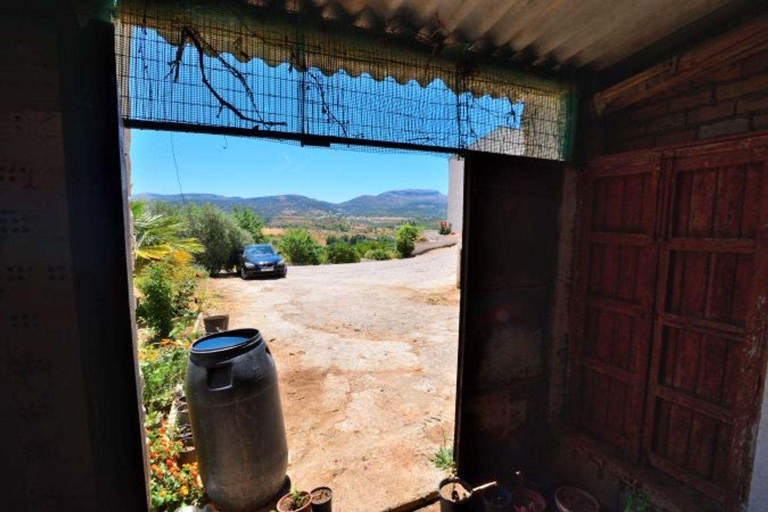 Plot for Sale in Ronda