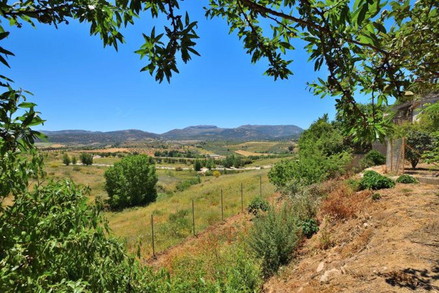 Plot for Sale in Ronda