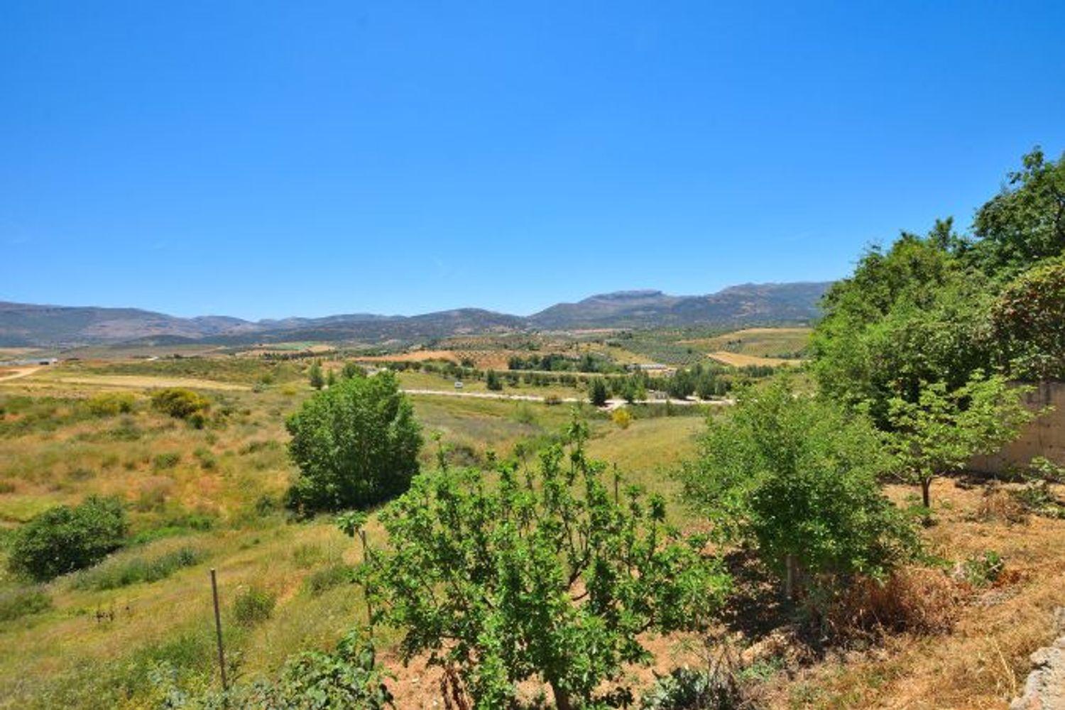 Plot for Sale in Ronda