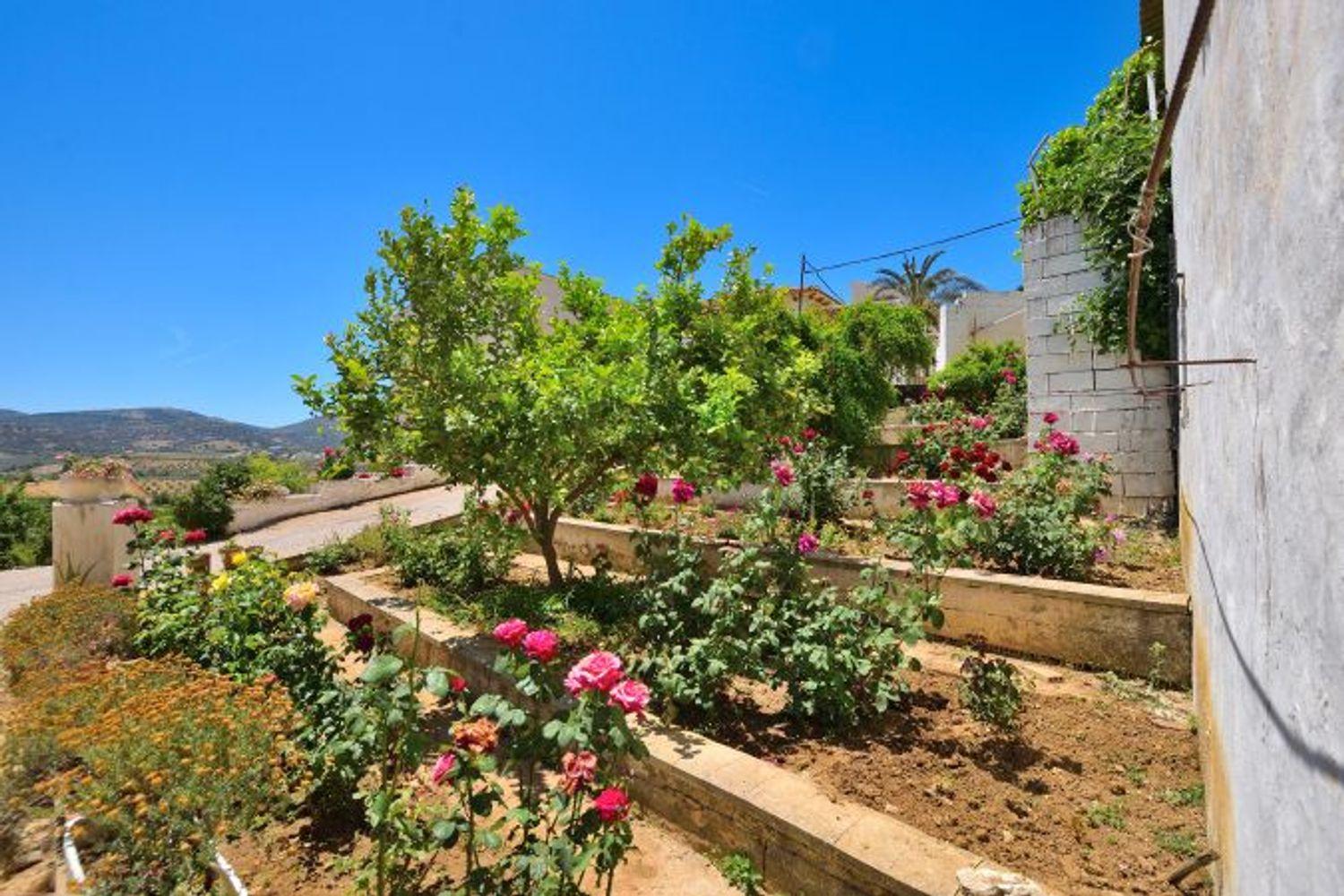 Plot for Sale in Ronda