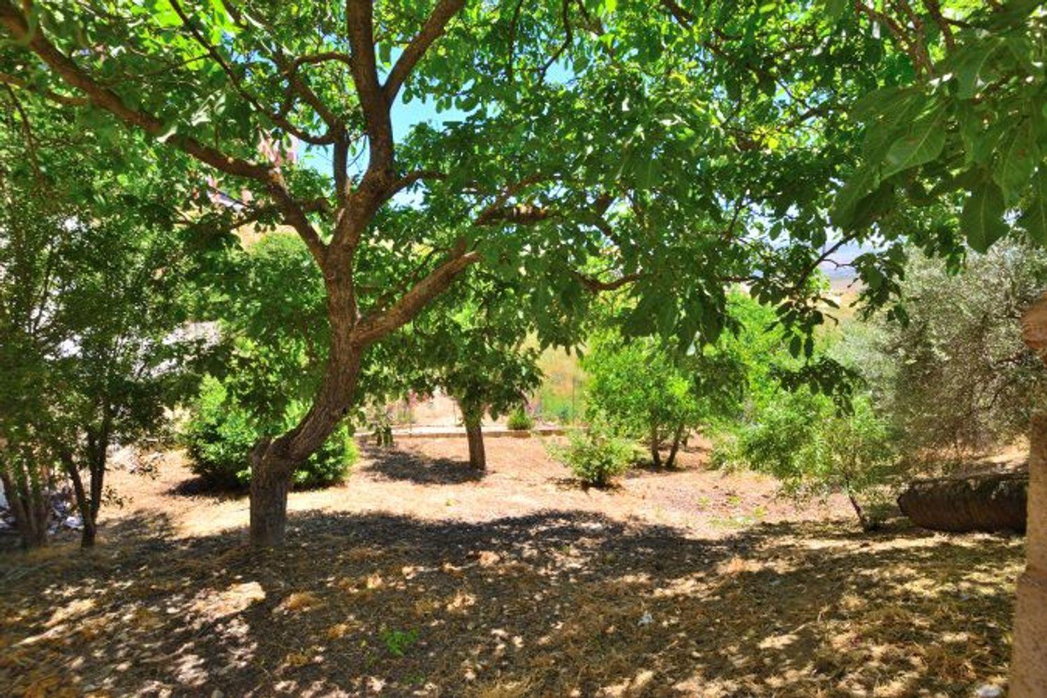 Plot for Sale in Ronda