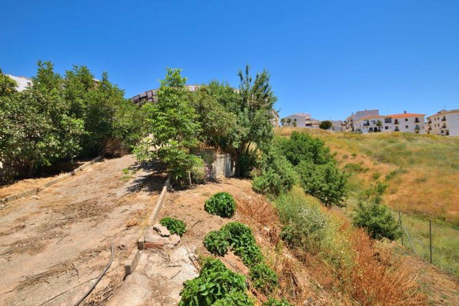 Plot for Sale in Ronda