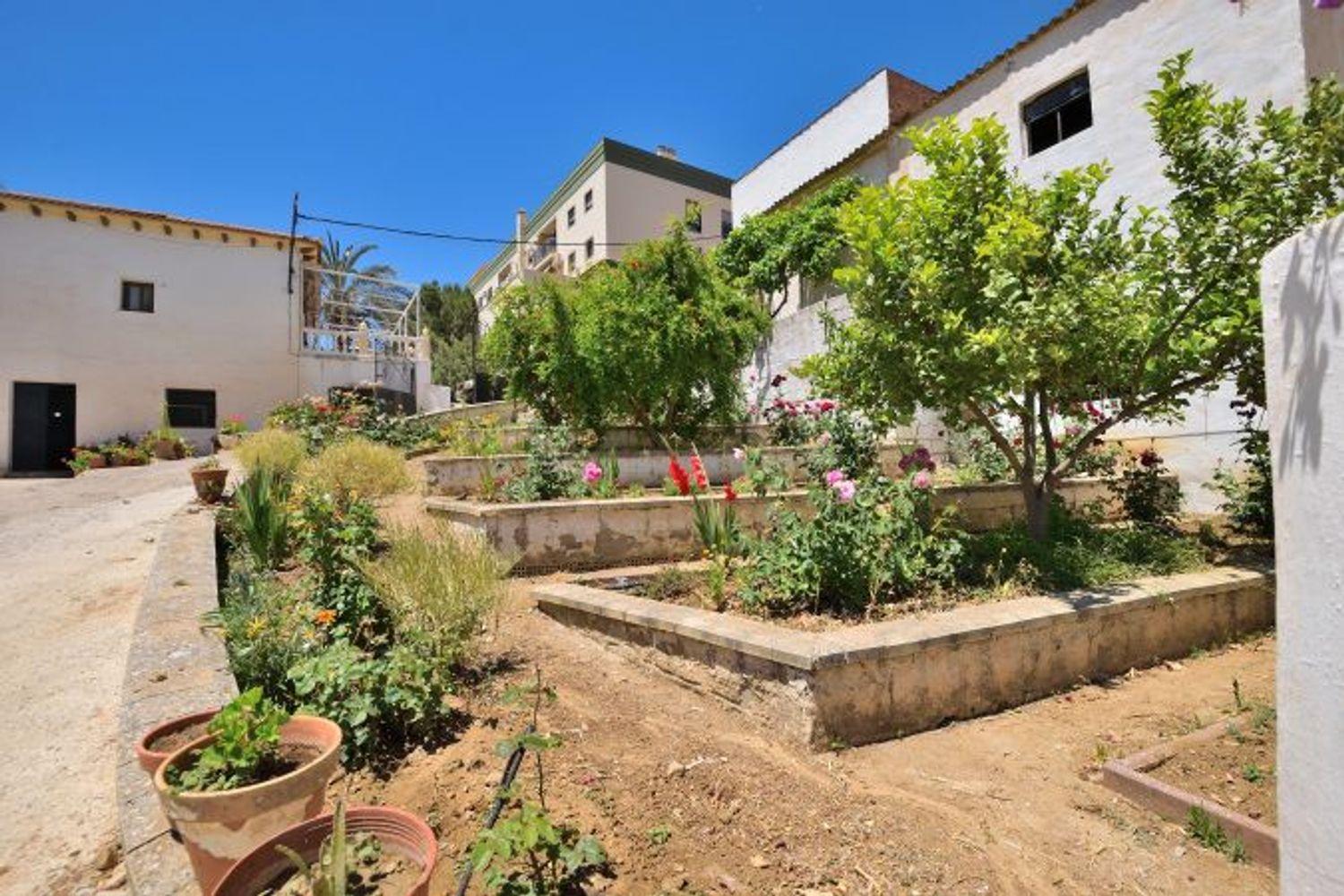 Plot for Sale in Ronda