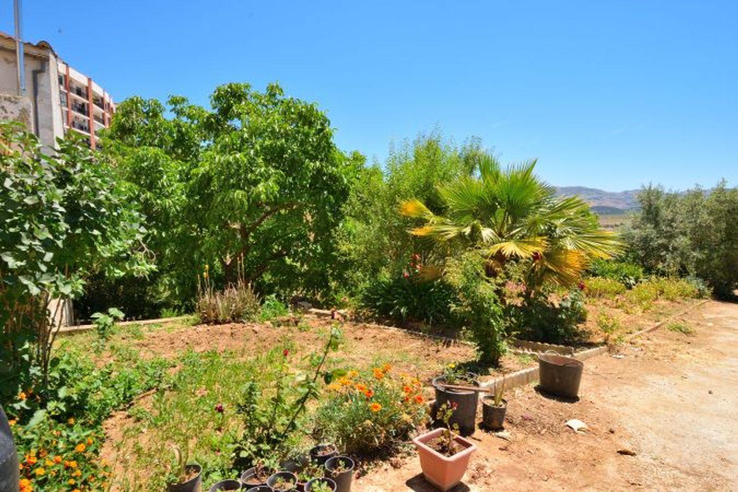 Plot for Sale in Ronda