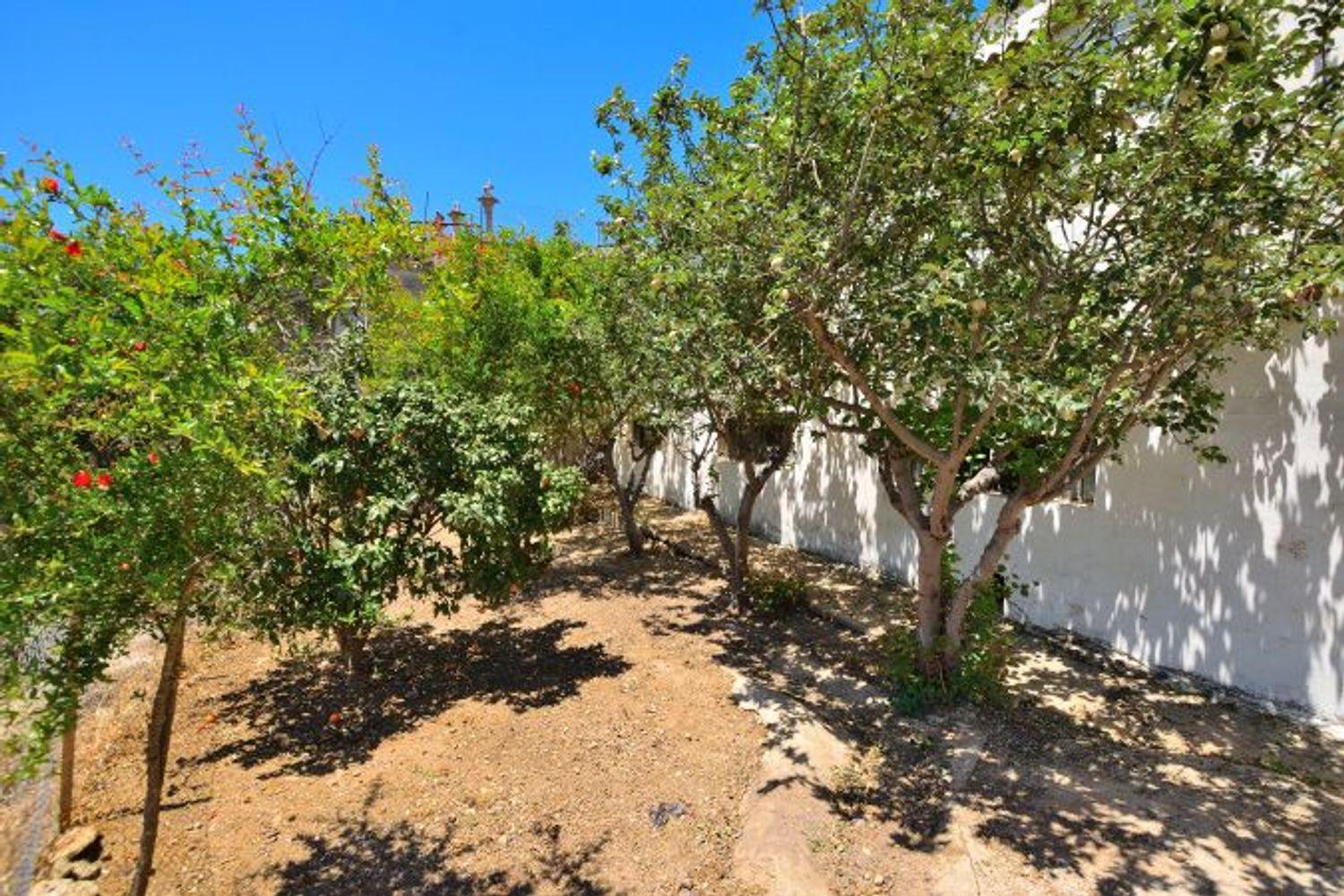 Plot for Sale in Ronda