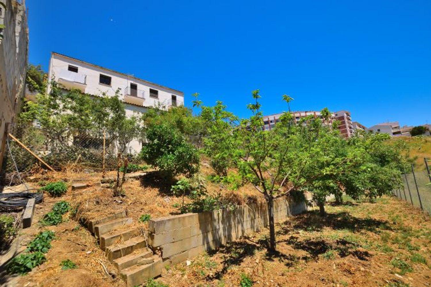 Plot for Sale in Ronda