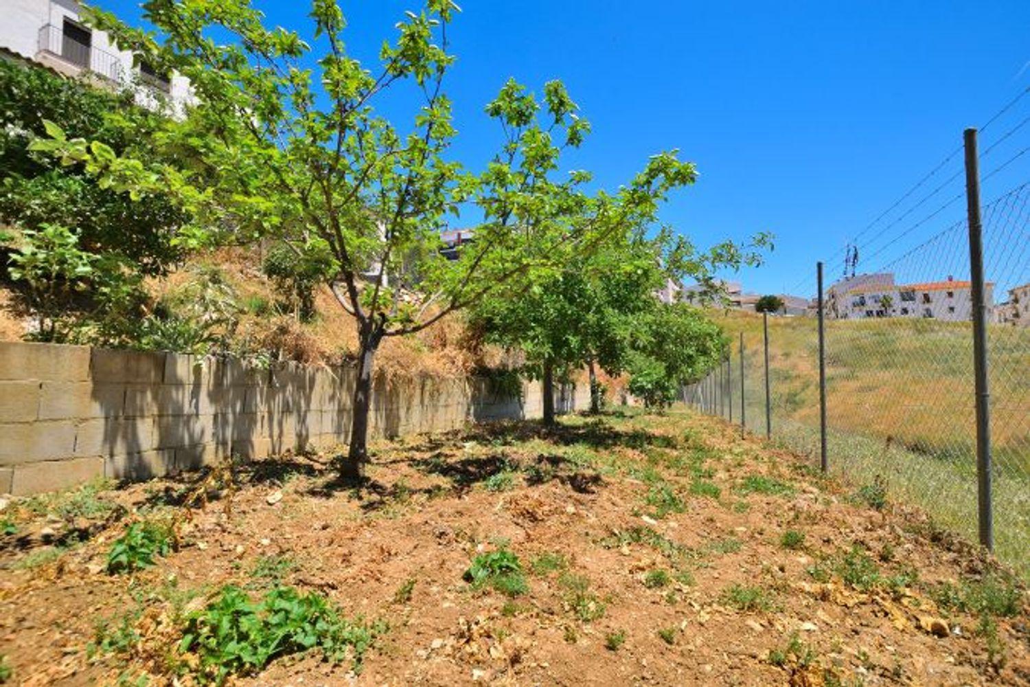 Plot for Sale in Ronda