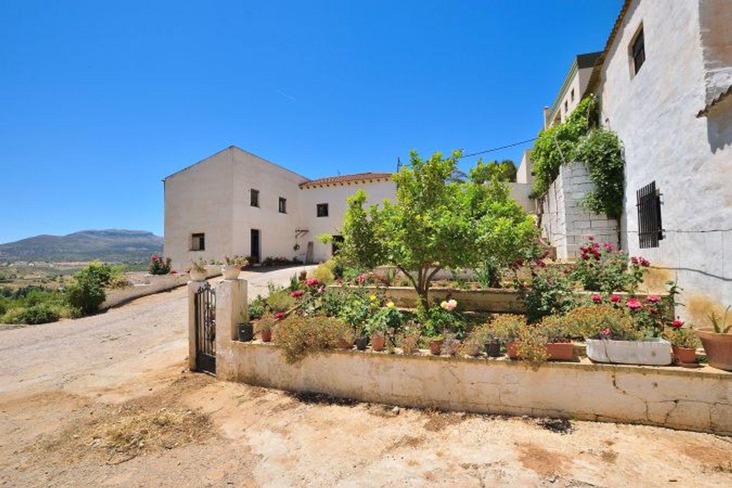 Plot for Sale in Ronda