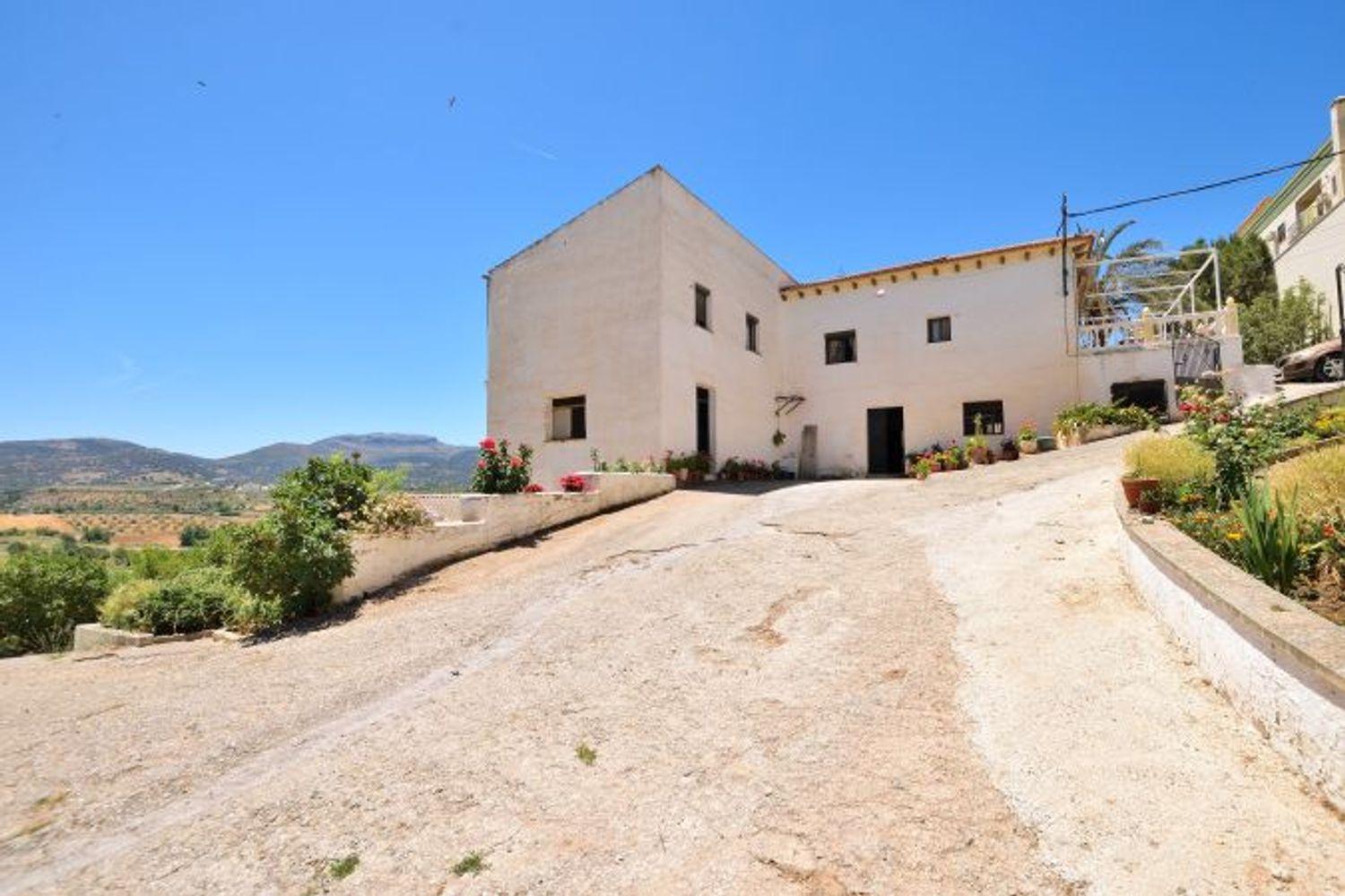 Plot for Sale in Ronda