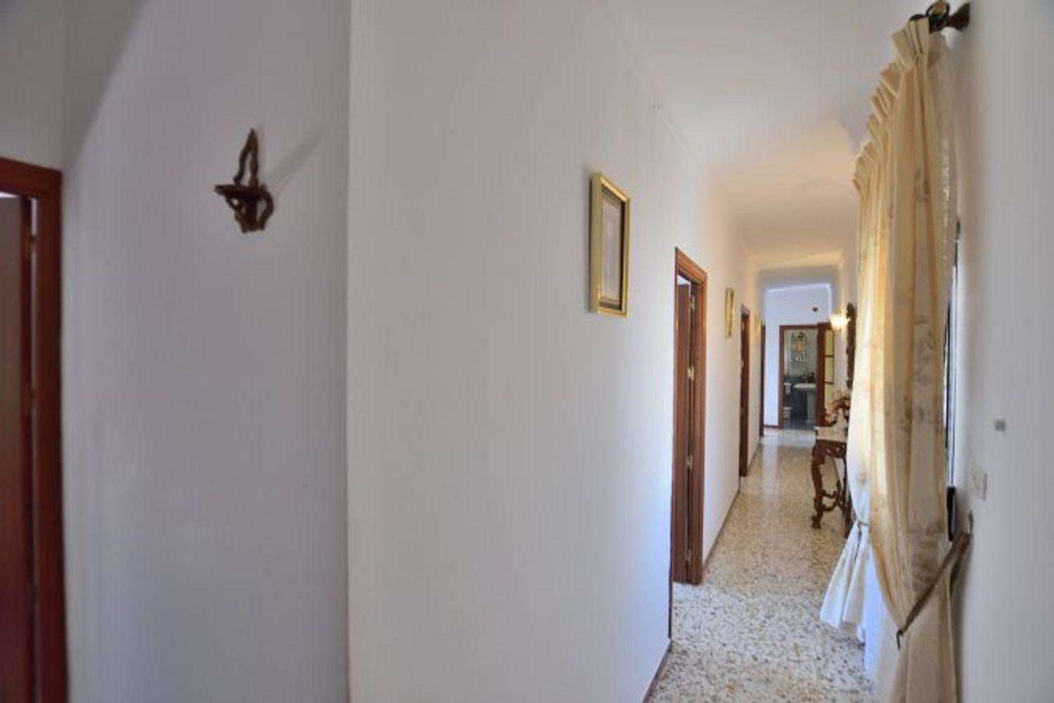 Plot for Sale in Ronda
