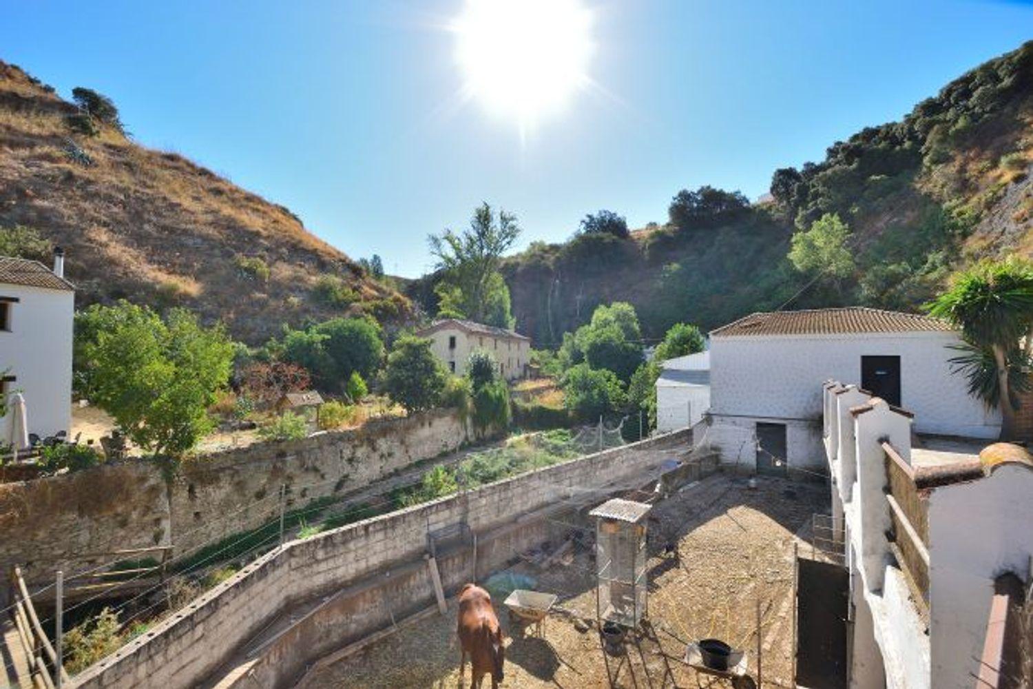 House for Sale in Arriate