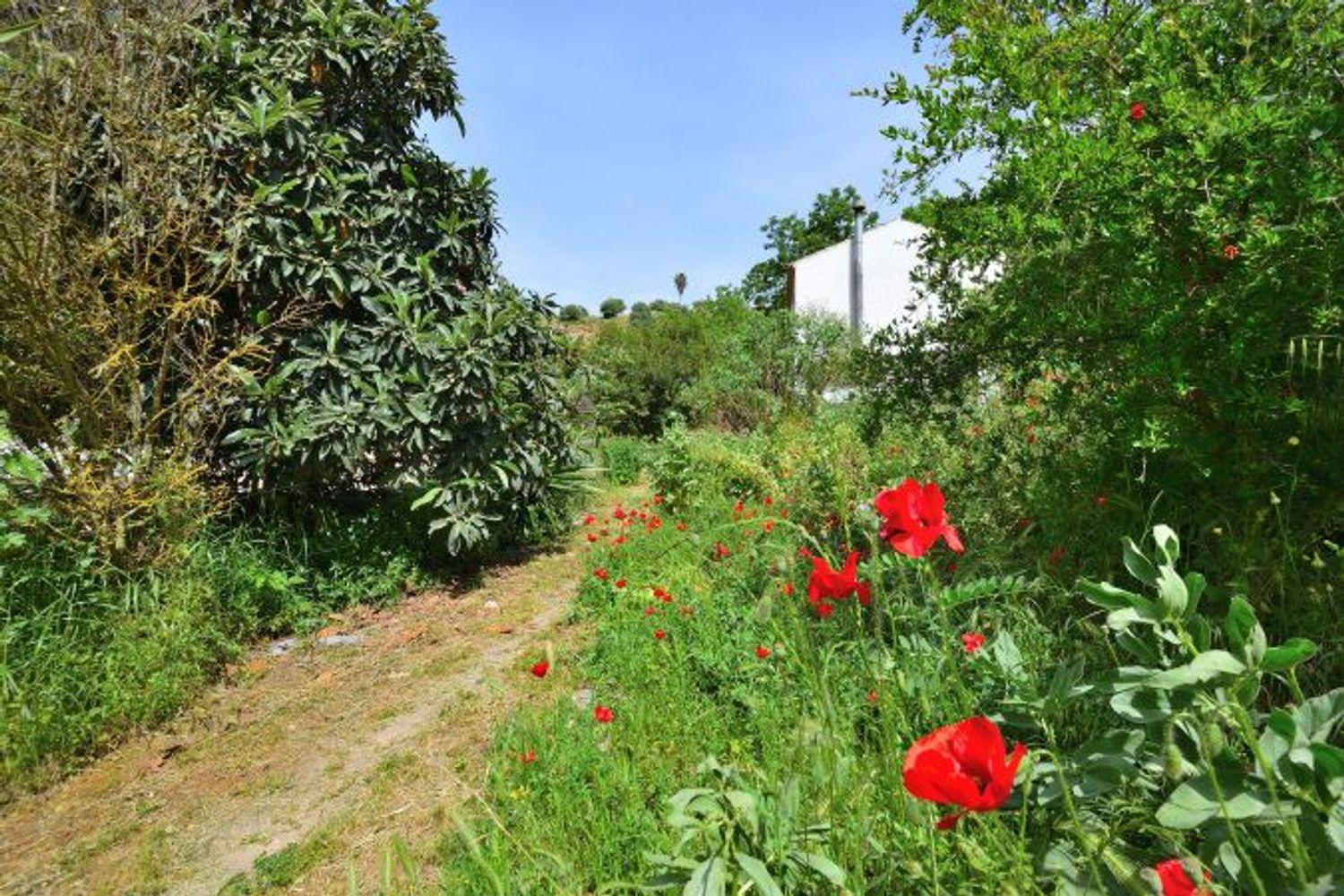 House for Sale in Arriate